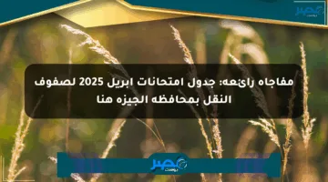 مفاجأة رائعة: جدول امتحانات أبريل 2025 لصفوف النقل بمحافظة الجيزة هنا